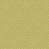 mfR562412D Lime